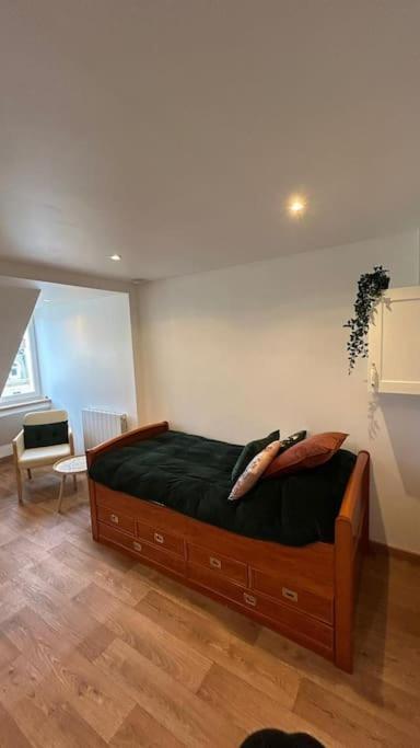 Le Cocon Apartment Страсбург Екстериор снимка